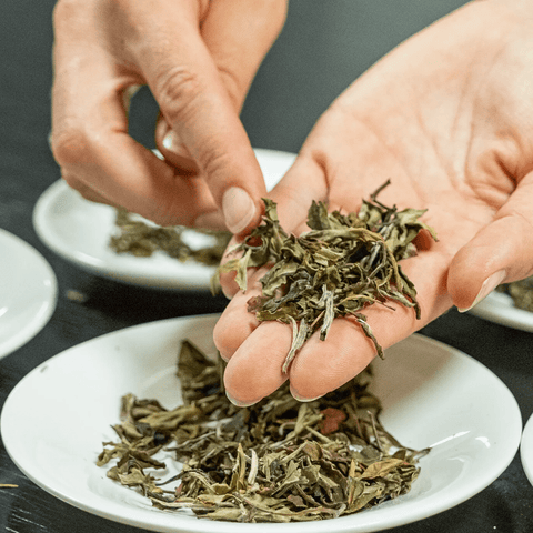 Comment reconnaître un thé de qualité ? - Les Jardins de l'Hermitage