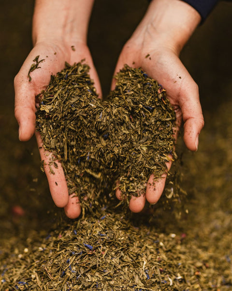 Plus de 150 recettes